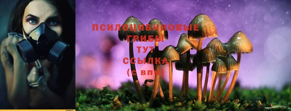 а пвп мука Аркадак