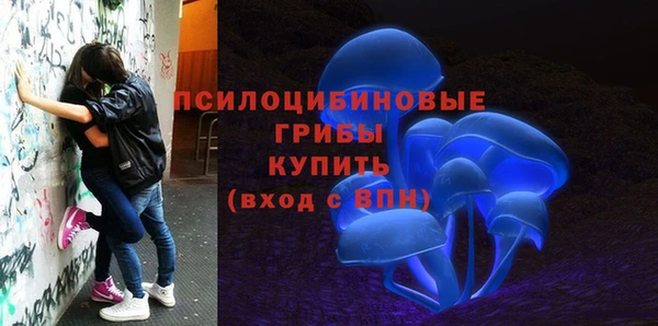 герыч Арсеньев