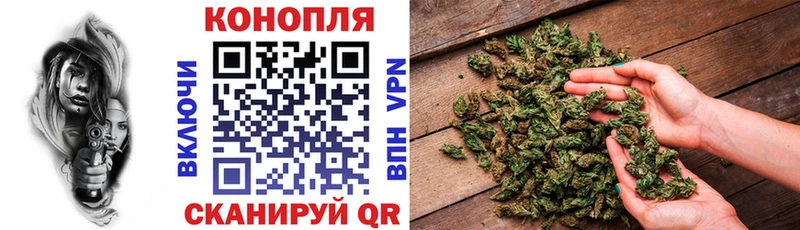 Бошки марихуана VHQ  как найти   блэк спрут как войти  Саянск 